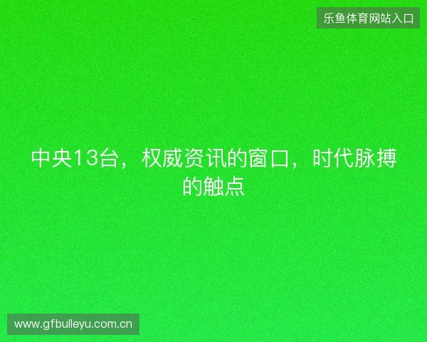 中央13台，权威资讯的窗口，时代脉搏的触点