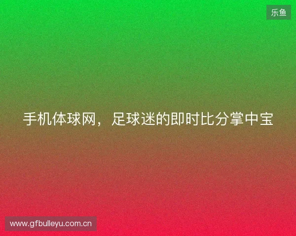 手机体球网，足球迷的即时比分掌中宝